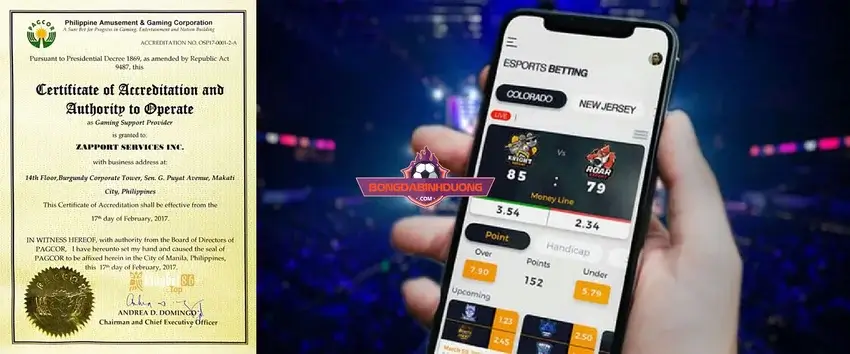 trang web cá cược Esport
