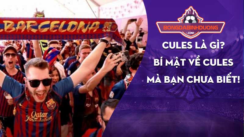 Cules Là Gì Bí Mật Về Cules Mà Bạn Chưa Biết!