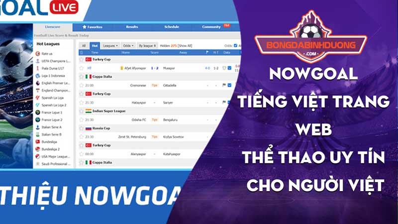 Nowgoal Tiếng Việt: Trang web thể thao uy tín cho người Việt